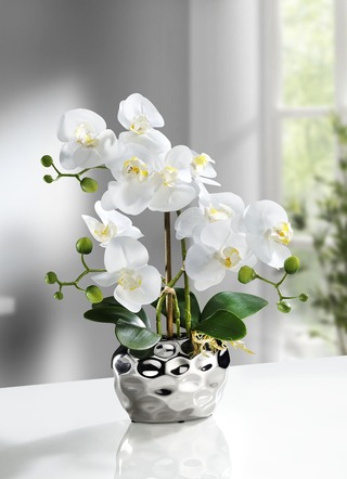 Orchidee im Topf - | Textilpflanzen Kunst- Brigitte & Hachenburg