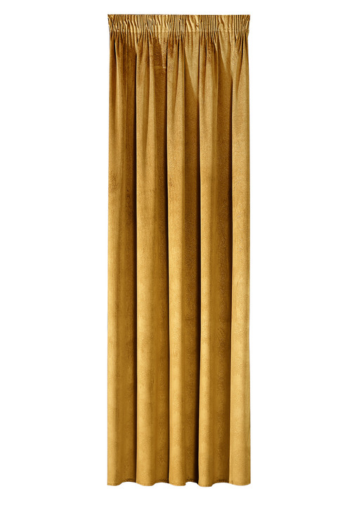Klassisch - Energiespar-Verdunkelungsschals in Samtoptik, in Größe 364 (H150xB140 cm) bis 436 (H245xB140 cm), in Farbe GOLD, in Ausführung mit Universalschienenband Ansicht 1