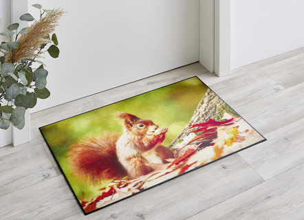 Fußmatte  mit Eichhörnchen-Motiv