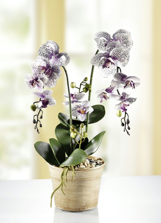 Orchidee im Topf & | Hachenburg Brigitte Textilpflanzen - Kunst