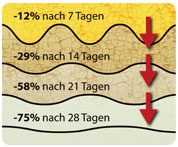 Logo_Nach7Tagen_Art37258